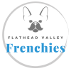 Flathead Valley Frenchies