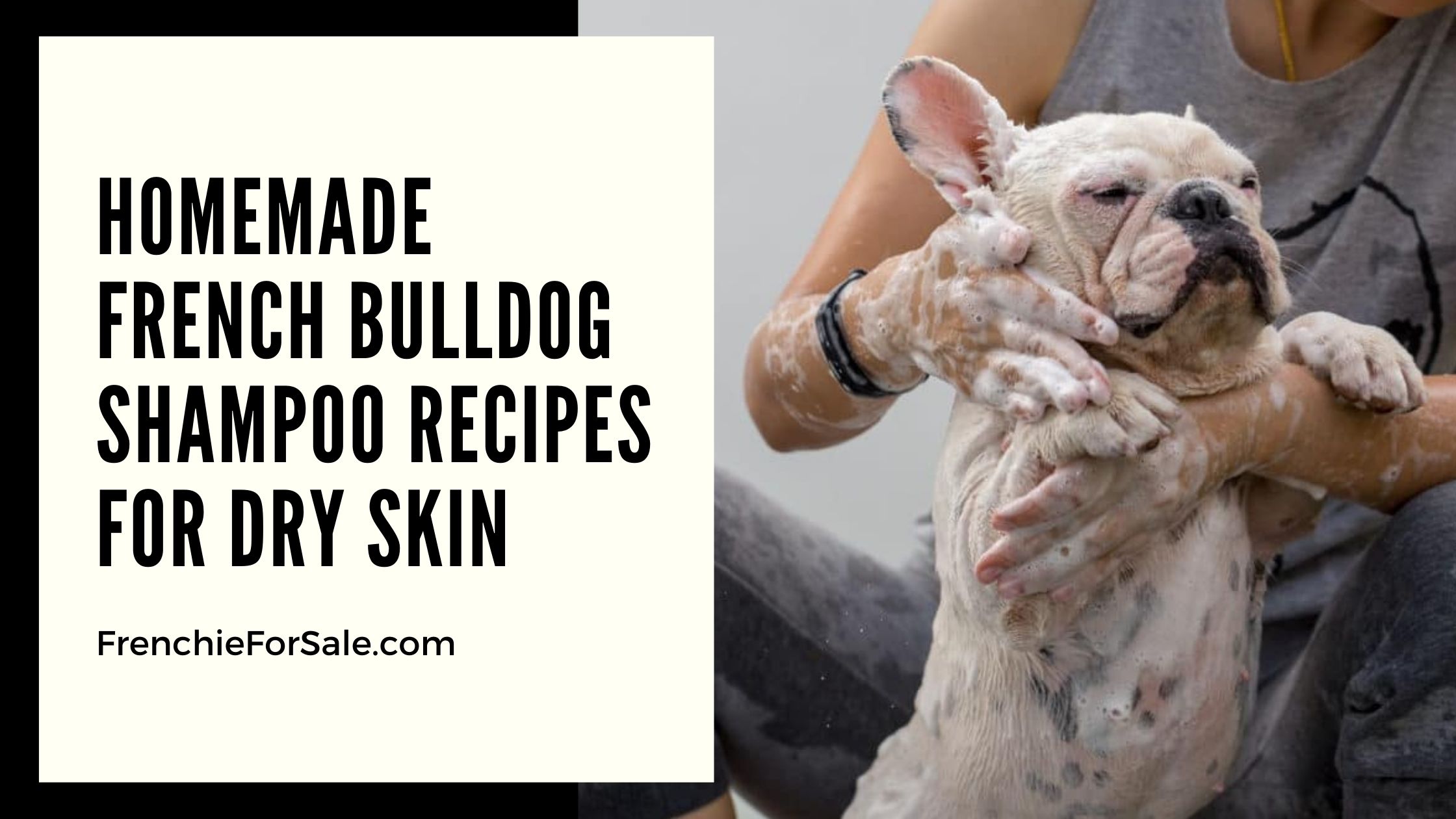 Homemade French Bulldog Shampoo Recipes for Dry Skin