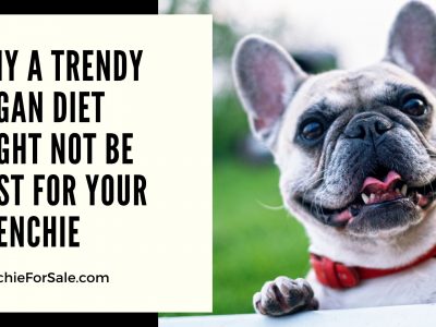 Why A Trendy Vegan Diet Might Not Be Best For Your Frenchie